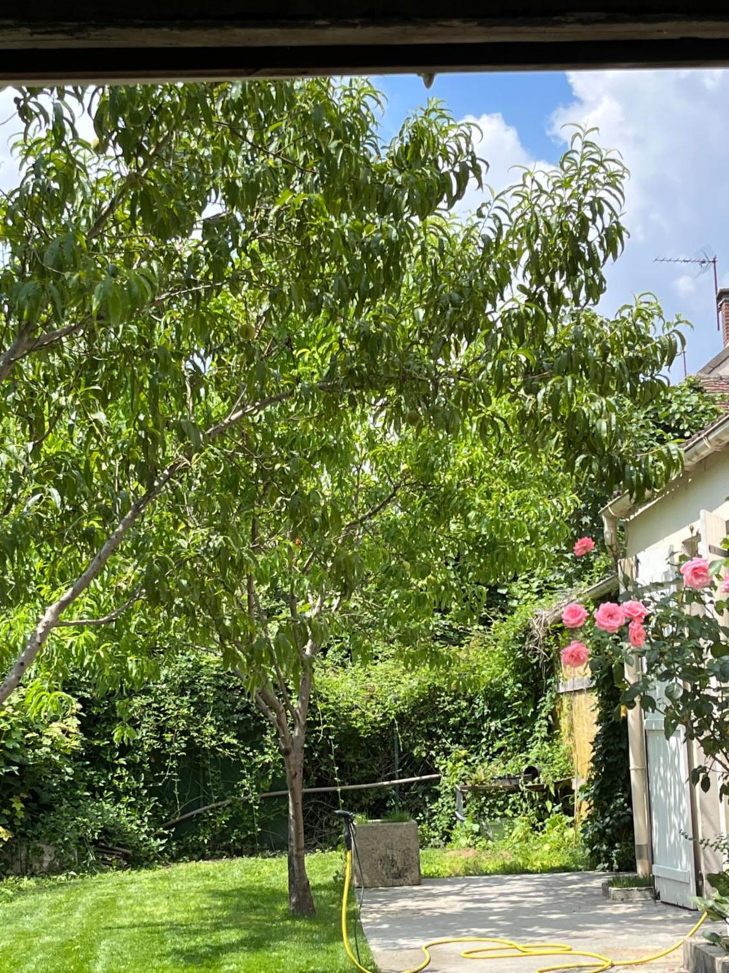 Endroit Charmant Coulommiers Buitenkant foto